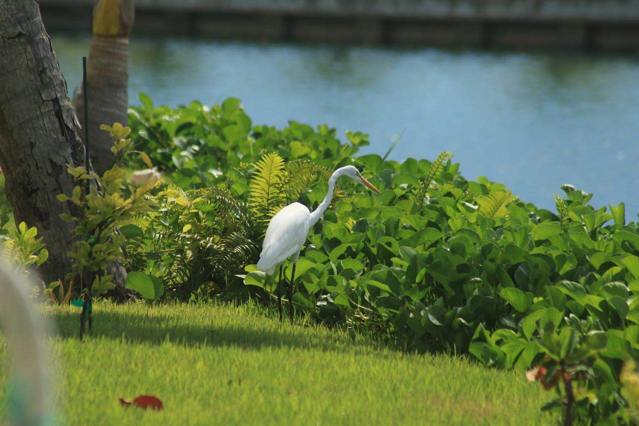 The Sandpiper Inn Crossing Rocks 外观 照片
